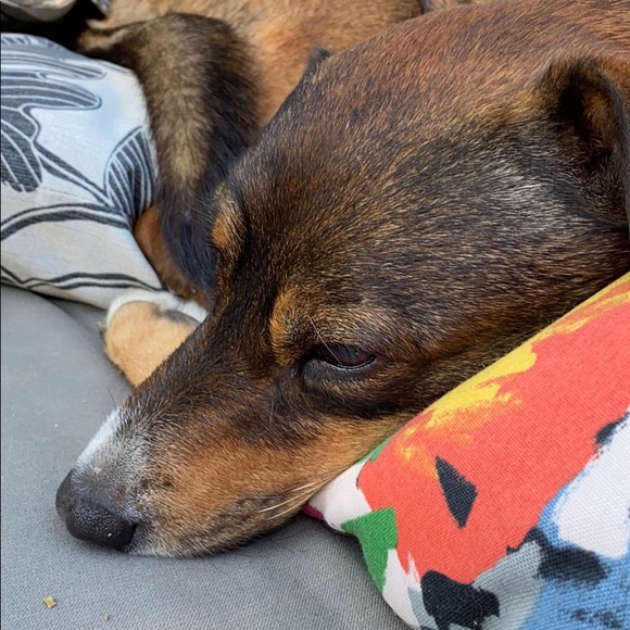 Meet your Posher, Shannon - Picture 1 of 1